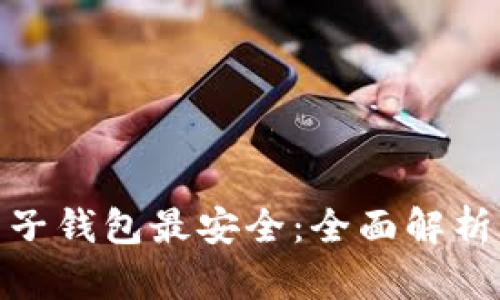 哪种电子钱包最安全：全面解析与比较