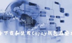如何安全下载和使用Copa