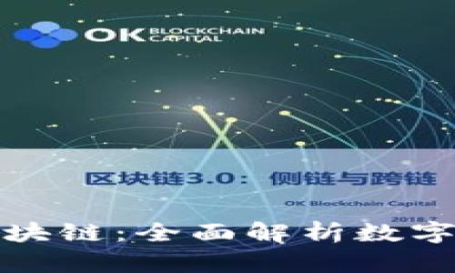 从钱包到区块链：全面解析数字货币的世界