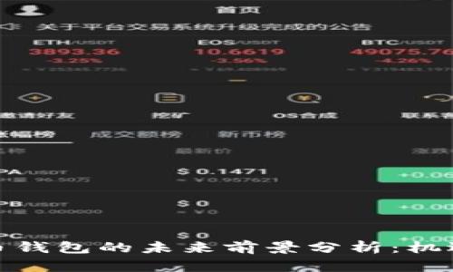 加密货币钱包的未来前景分析：机遇与挑战