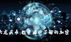 币圈十大龙头币：投资者