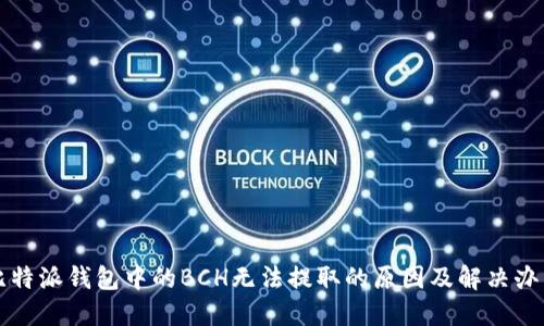 比特派钱包中的BCH无法提取的原因及解决办法