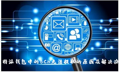 比特派钱包中的BCH无法提取的原因及解决办法