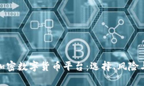 全面解析加密数字货币平台：选择、风险与投资策略