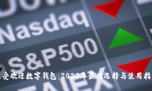 最受欢迎数字钱包：2023年最佳选择与使用指南