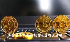 加密货币钱包的种类及其
