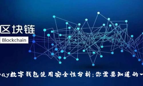 Topay数字钱包使用安全性分析：你需要知道的一切