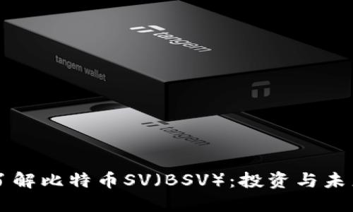 深入了解比特币SV（BSV）：投资与未来展望