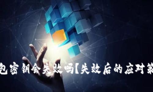 加密钱包密钥会失效吗？失效后的应对策略解析