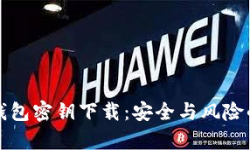 数字货币钱包密钥下载：安全与风险的全面解析