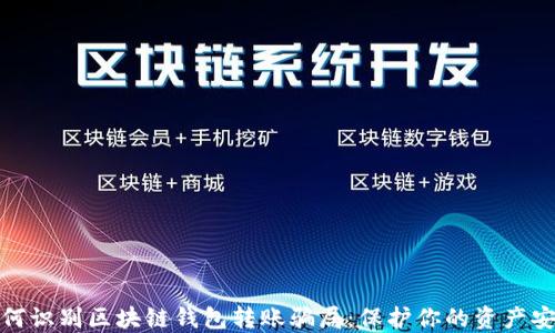 
如何识别区块链钱包转账骗局：保护你的资产安全