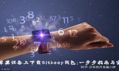 如何在苹果设备上下载B