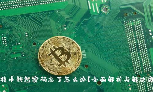 比特币钱包密码忘了怎么办？全面解析与解决方案