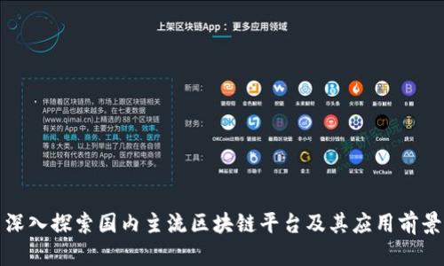 深入探索国内主流区块链平台及其应用前景