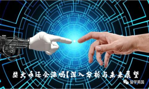 柴犬币还会涨吗？深入分析与未来展望