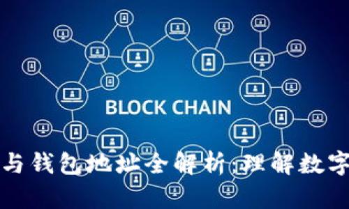 区块链地址与钱包地址全解析：理解数字资产的基础