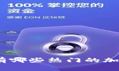  全面解析：有哪些热门的加密货币钱包？