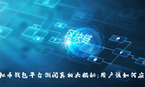 虚拟币钱包平台倒闭真相大揭秘：用户该如何应对？