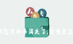 数字币钱包里的币消失了