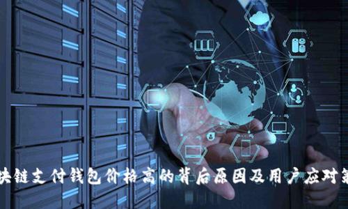 区块链支付钱包价格高的背后原因及用户应对策略