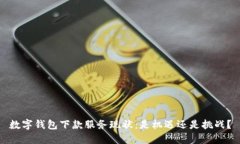 数字钱包下款服务现状：