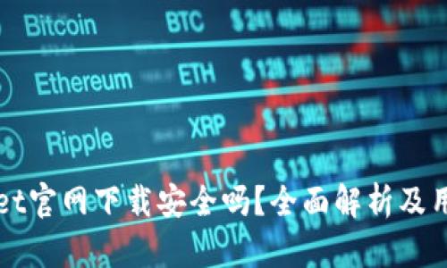 TPWallet官网下载安全吗？全面解析及用户指南