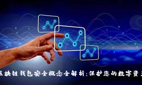 区块链钱包安全概念全解析：保护您的数字资产