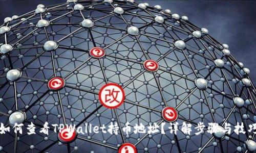 如何查看TPWallet持币地址？详解步骤与技巧