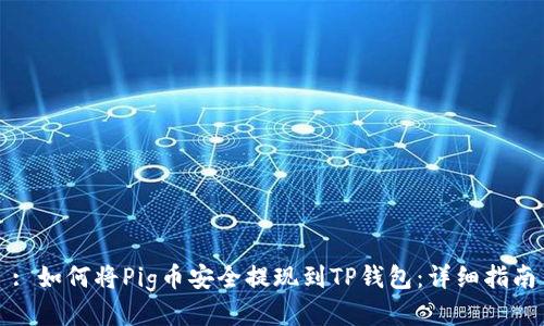 : 如何将Pig币安全提现到TP钱包：详细指南