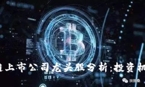 2023年区块链上市公司龙头股分析：投资机会与风险评估