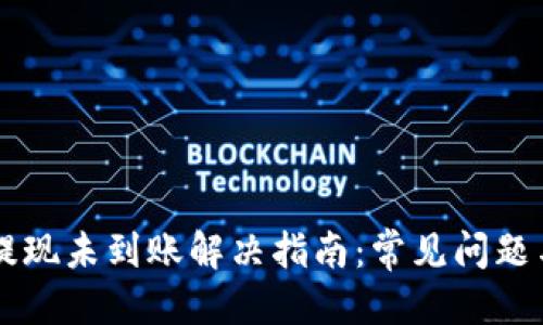 统一标题  
TPWallet提现未到账解决指南：常见问题与处理方法