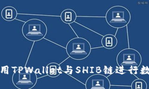 如何安全使用TPWallet与SHIB链进行数字资产管理