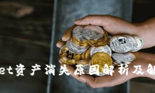 TPWallet资产消失原因解析及解决方案