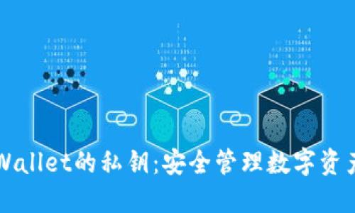 了解TPWallet的私钥：安全管理数字资产的关键