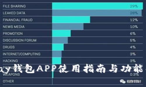 Topay钱包APP使用指南与功能解析