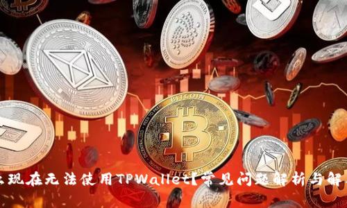 为什么现在无法使用TPWallet？常见问题解析与解决方案