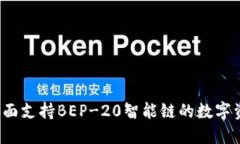 TPWallet：全面支持BEP-20智能