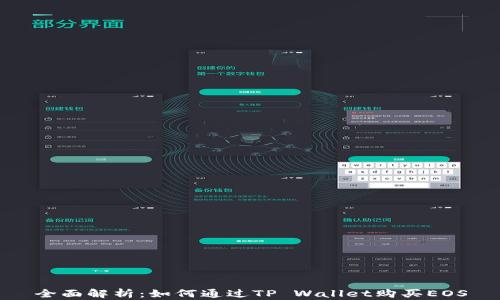 
全面解析：如何通过TP Wallet购买EOS