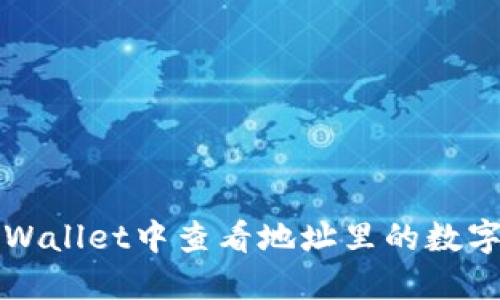 如何在TPWallet中查看地址里的数字货币资产