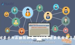 全球最大的区块链排名：2023年度最新分析与展望